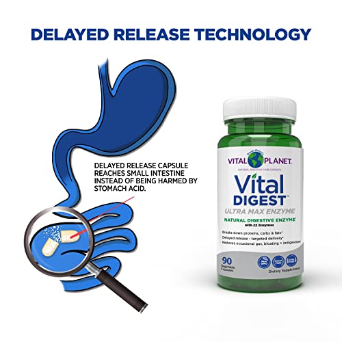 Vital Digest Ultra Max Enzyme – Capsules, 90ct
