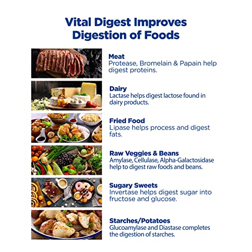 Vital Digest Ultra Max Enzyme – Capsules, 90ct