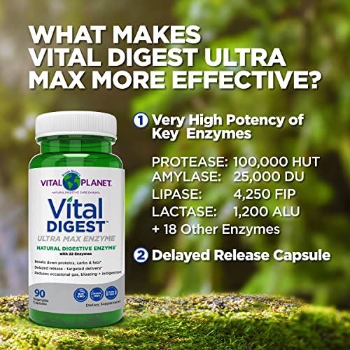 Vital Digest Ultra Max Enzyme – Capsules, 90ct