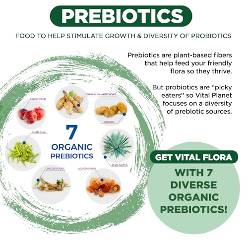 Vital Flora Adult 55+ Daily Probiotic - Refrigerated