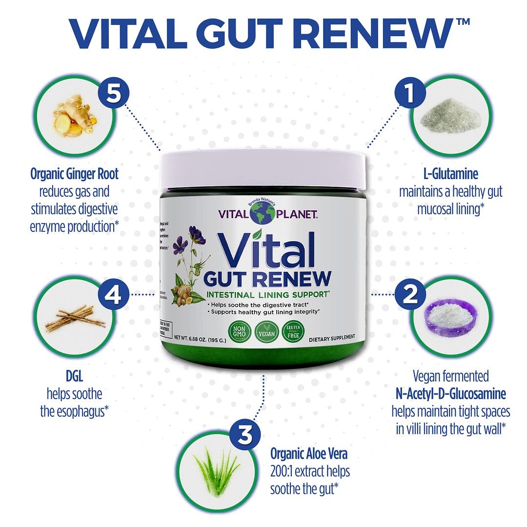 Vital GUT RENEW™ - Leaky Gut Repair - Powder