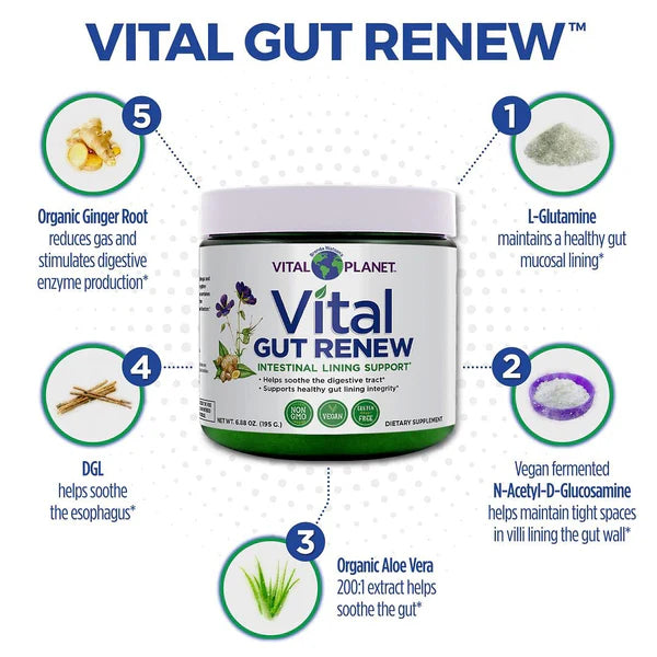 Vital GUT RENEW™ Stick Packs