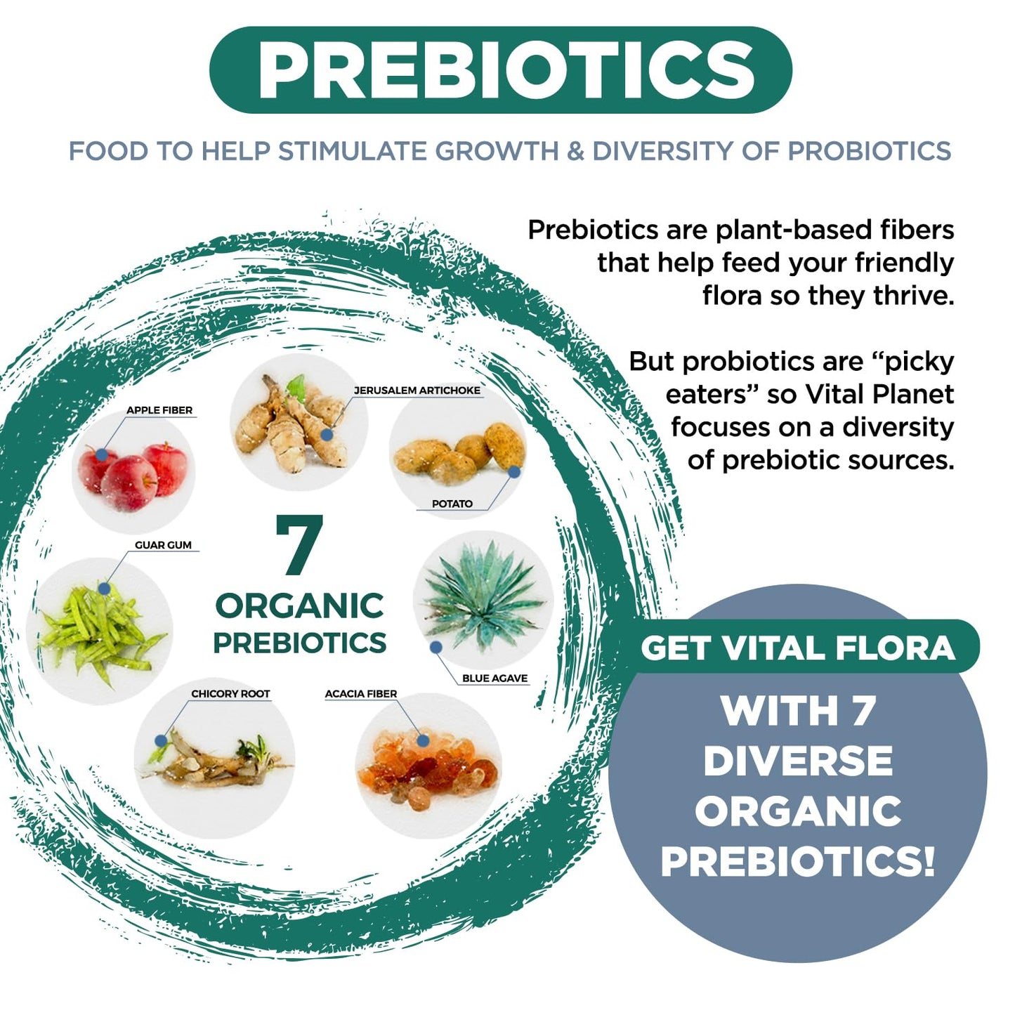 Probiótico Vital Flora para el Bioma Inmunológico - 30 unidades