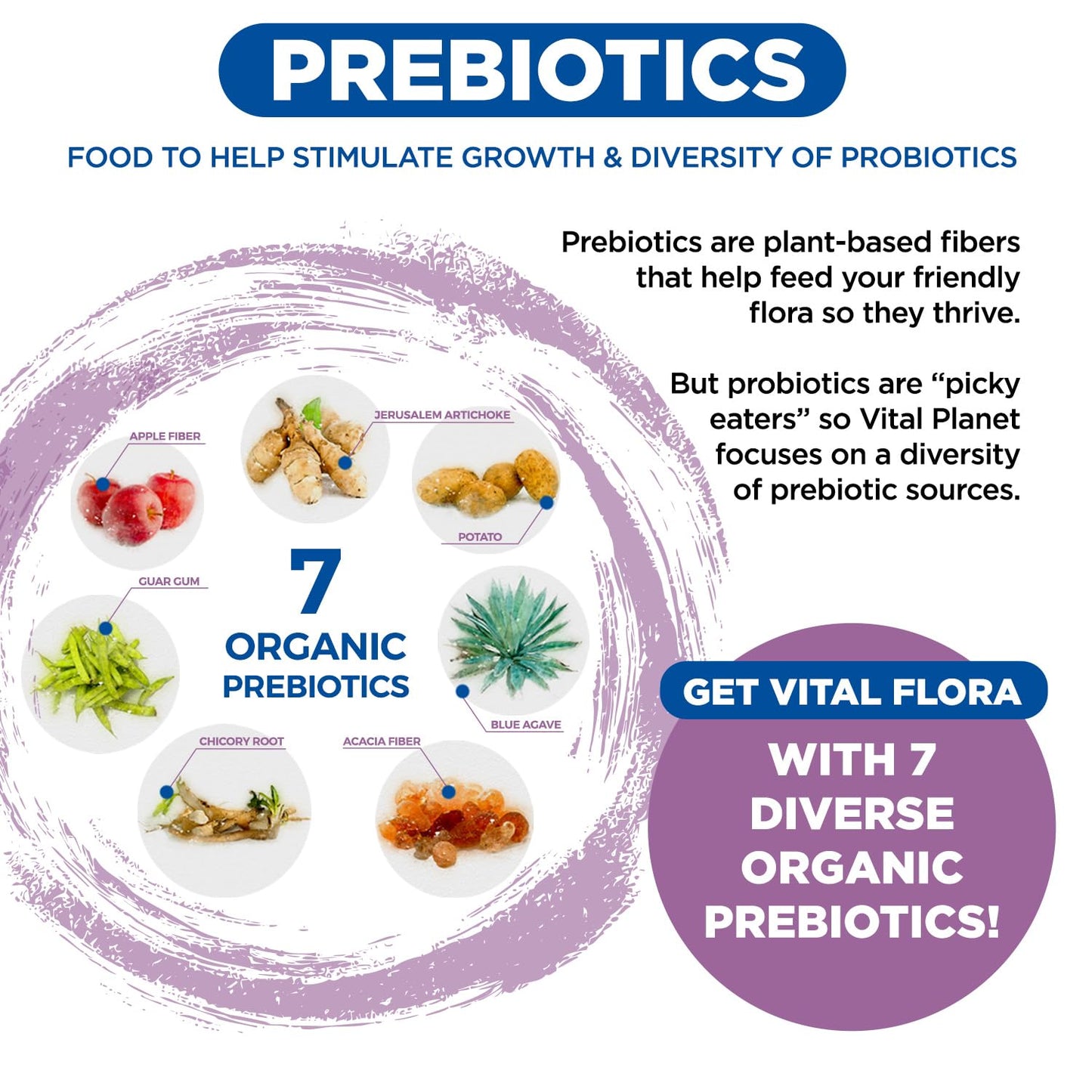 Probiótico diario para mujeres Vital Flora - Refrigerado