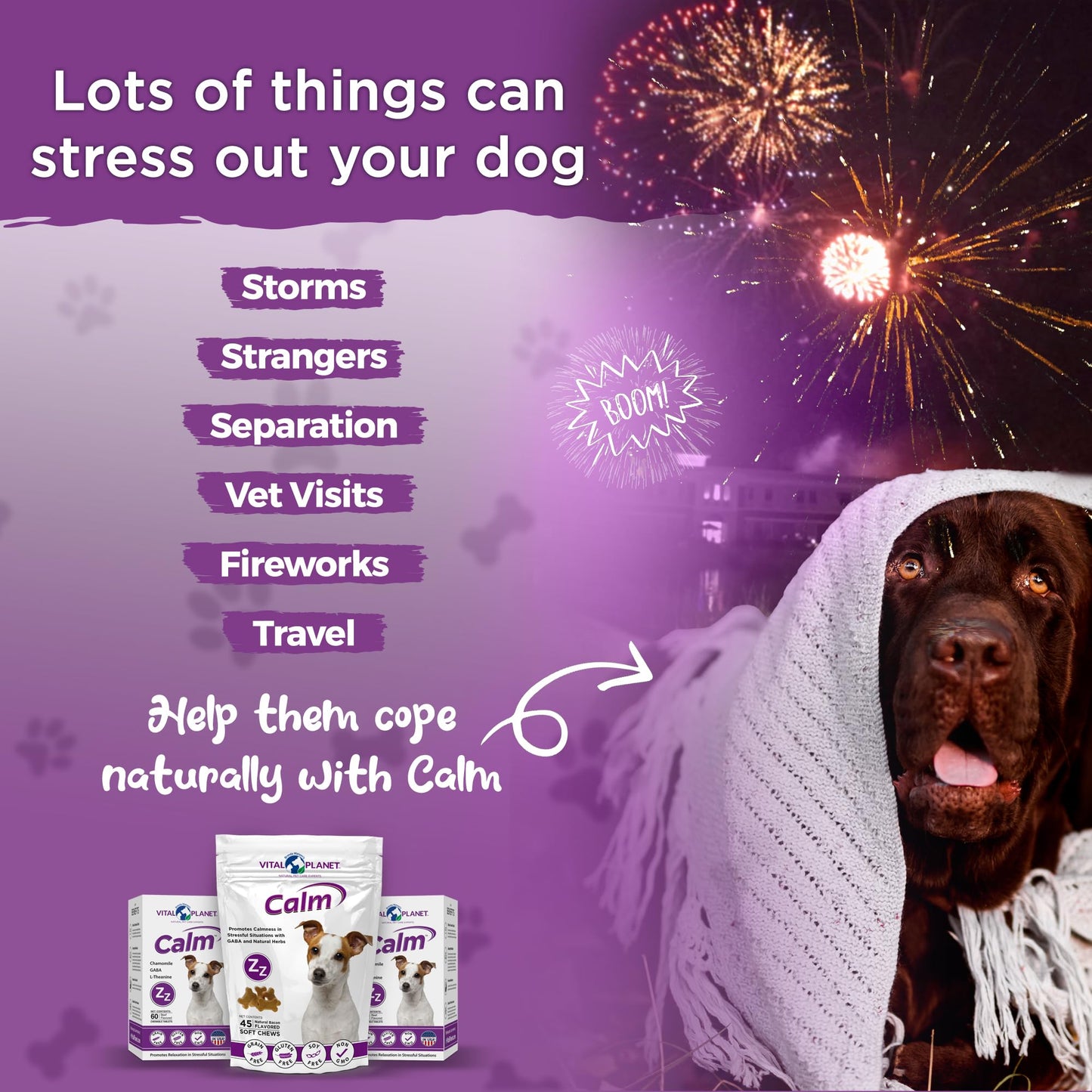 Calm - Anxiety Support Soft Chews, 45ct