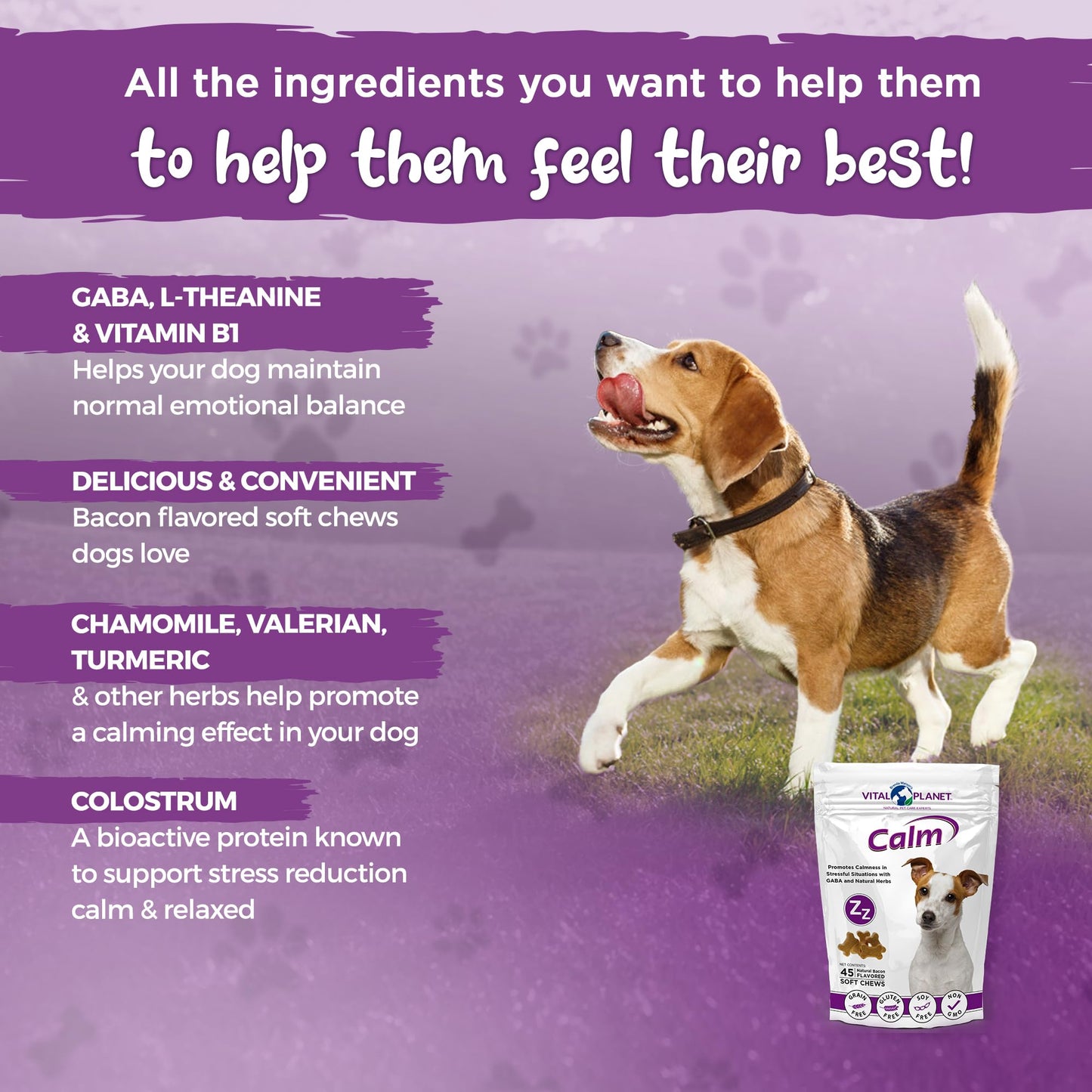 Calm - Anxiety Support Soft Chews, 45ct