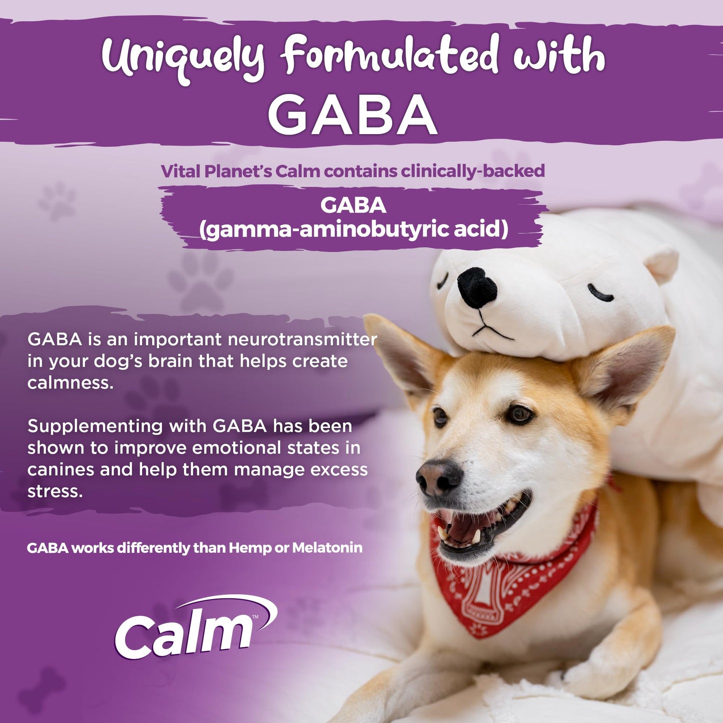 Calm - Anxiety Support Soft Chews, 45ct