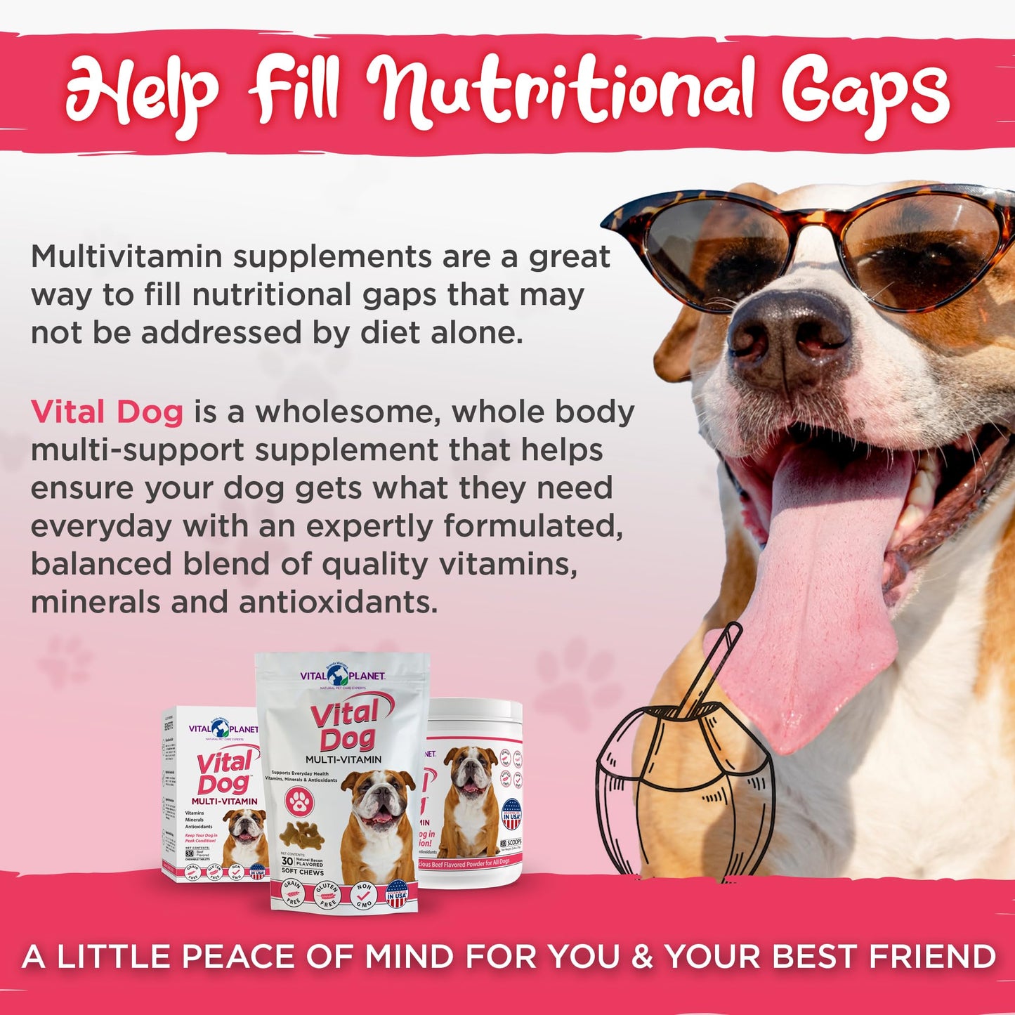 Multivitamínico Vital para Perros - Masticables Suaves, 30 unidades