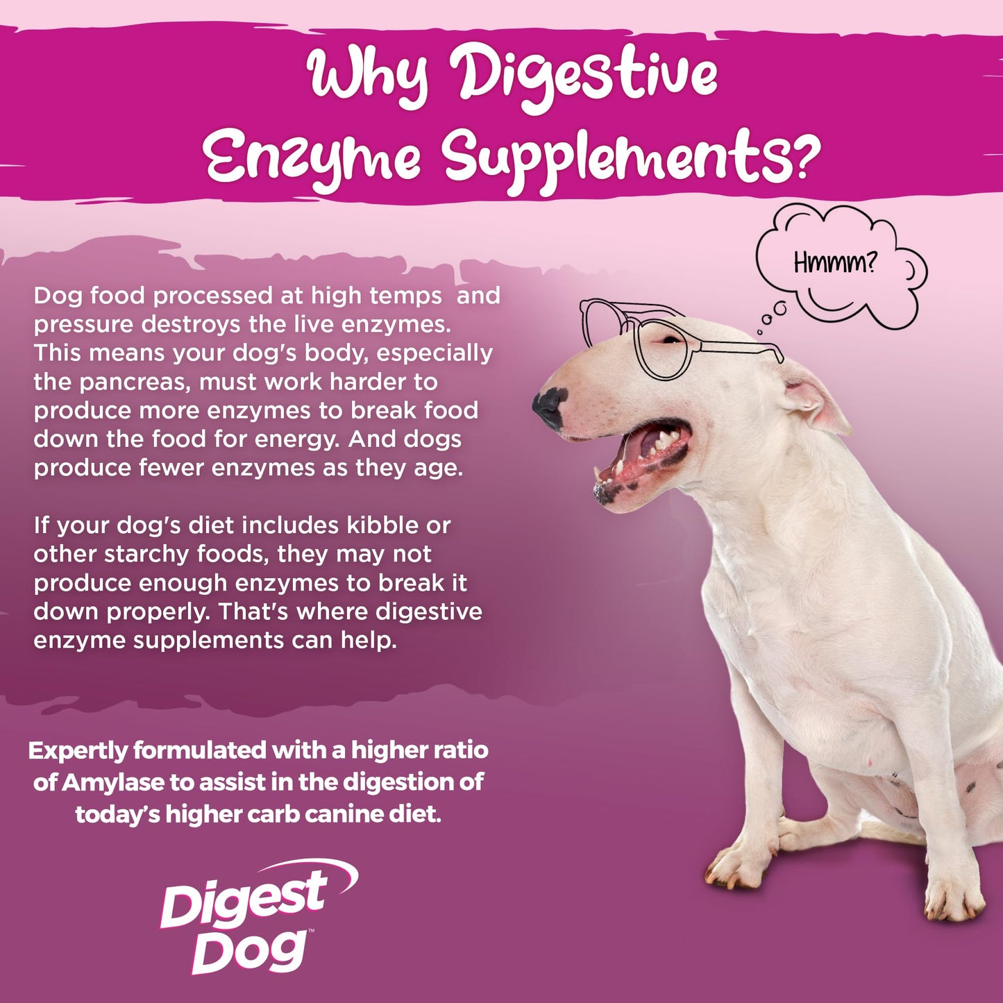 Digest Dog - Powder, 30 servings