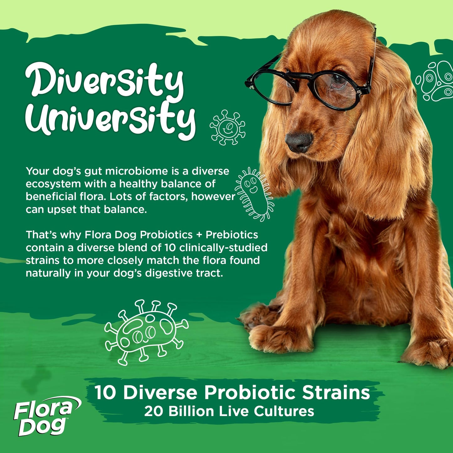 Flora Dog High Potency Probiotic - Delayed Release Capsules, 30ct