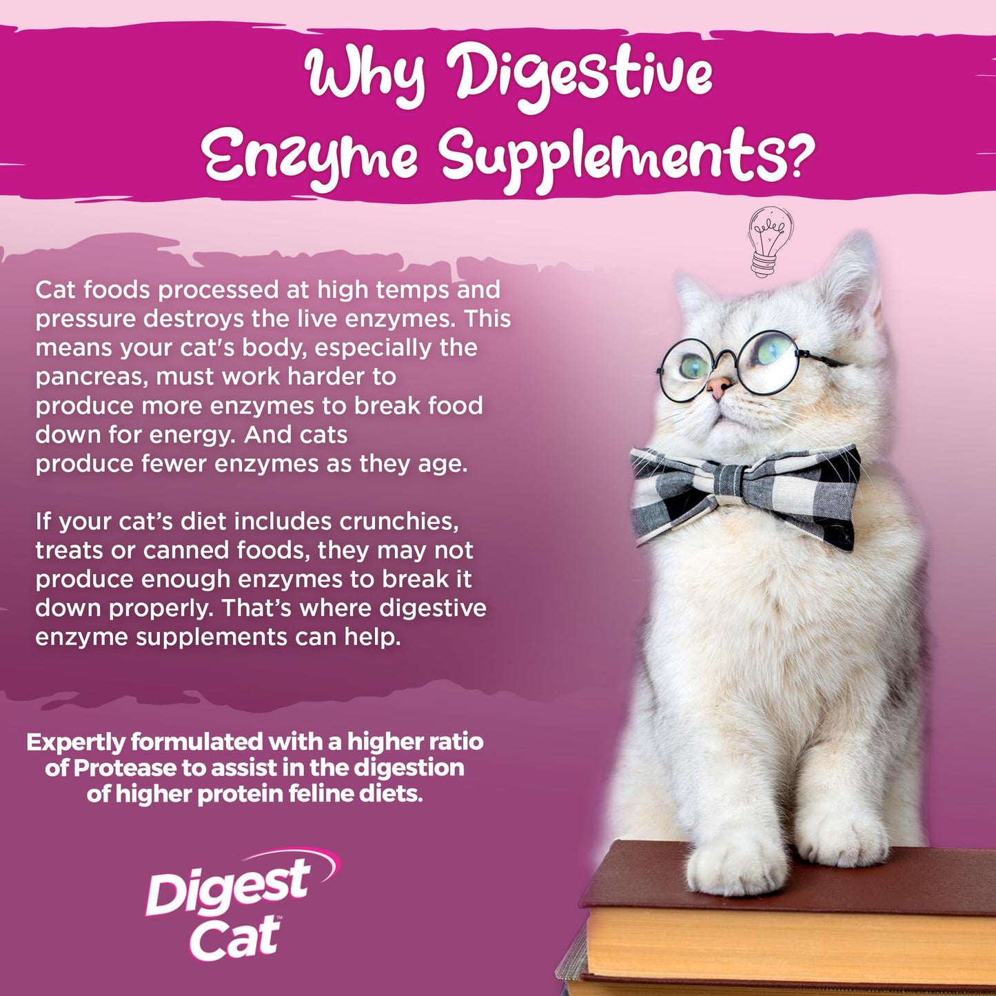 Digest Cat - Polvo, 30 porciones de 2,64 oz