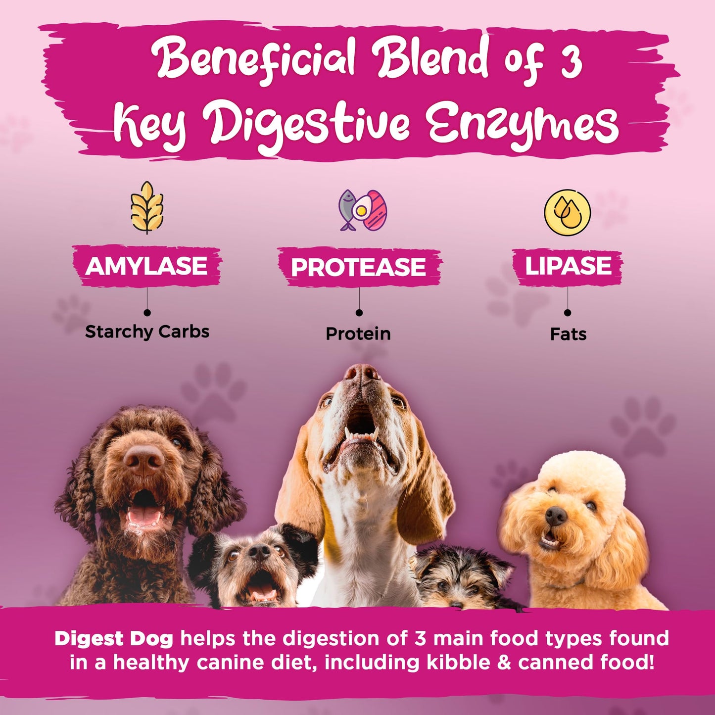 Digest Dog - Powder, 30 servings
