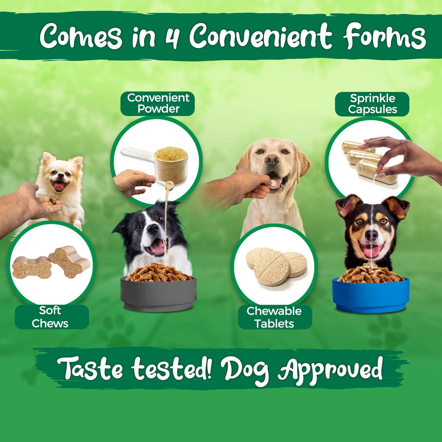 Probiótico de alta potencia Flora para perros (polvo, 30 porciones)