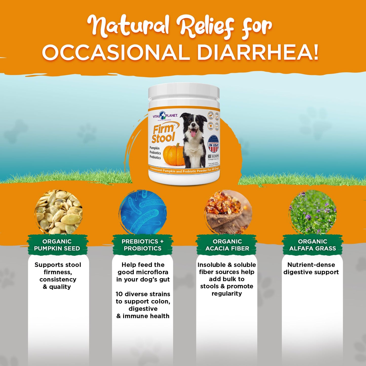 Firm Stool - Diarrhea Relief Support Powder, 3.92oz