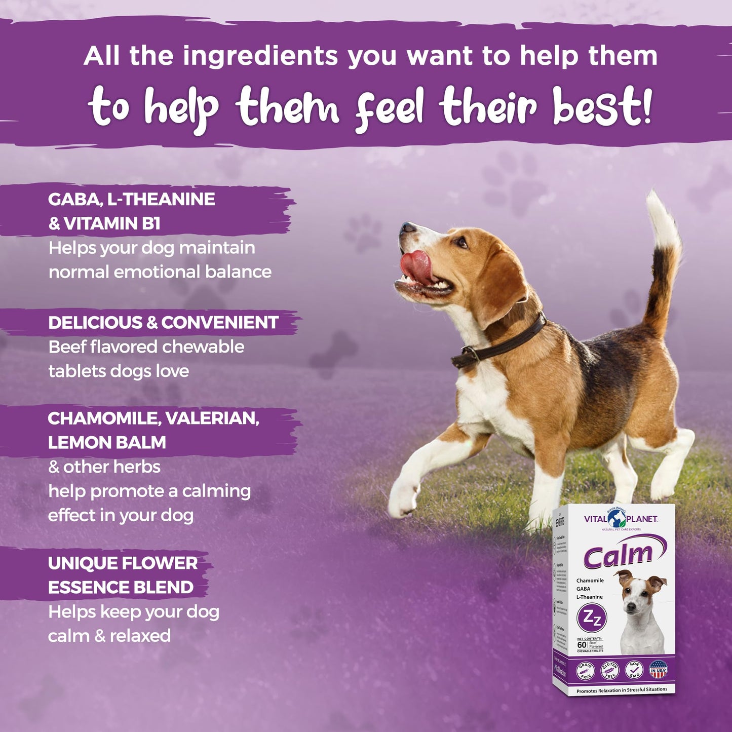 Calm - Anxiety Support Chews, 60ct