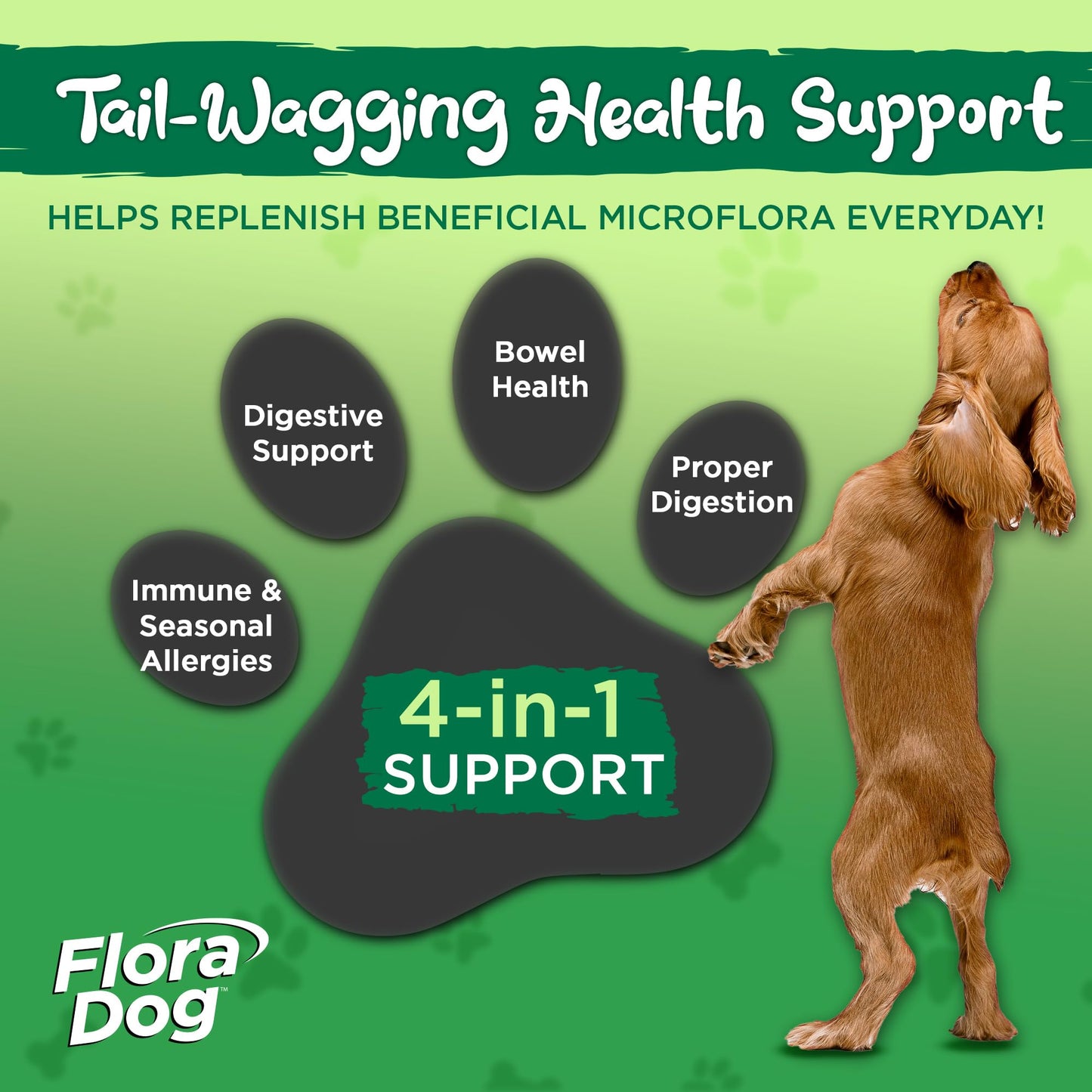 Probiótico de alta potencia para perros Flora - Masticables 60 unidades