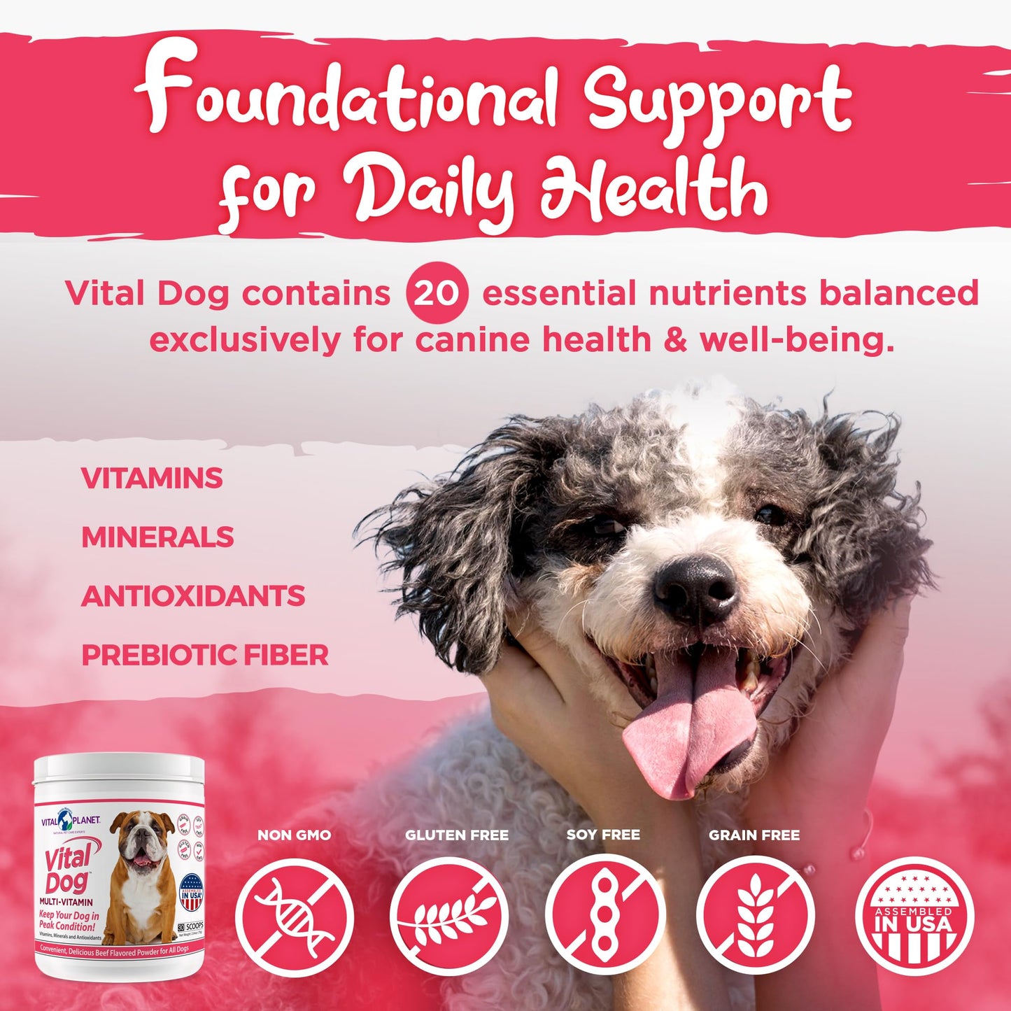 Vital Dog Multivitamin - Powder, 2.64oz