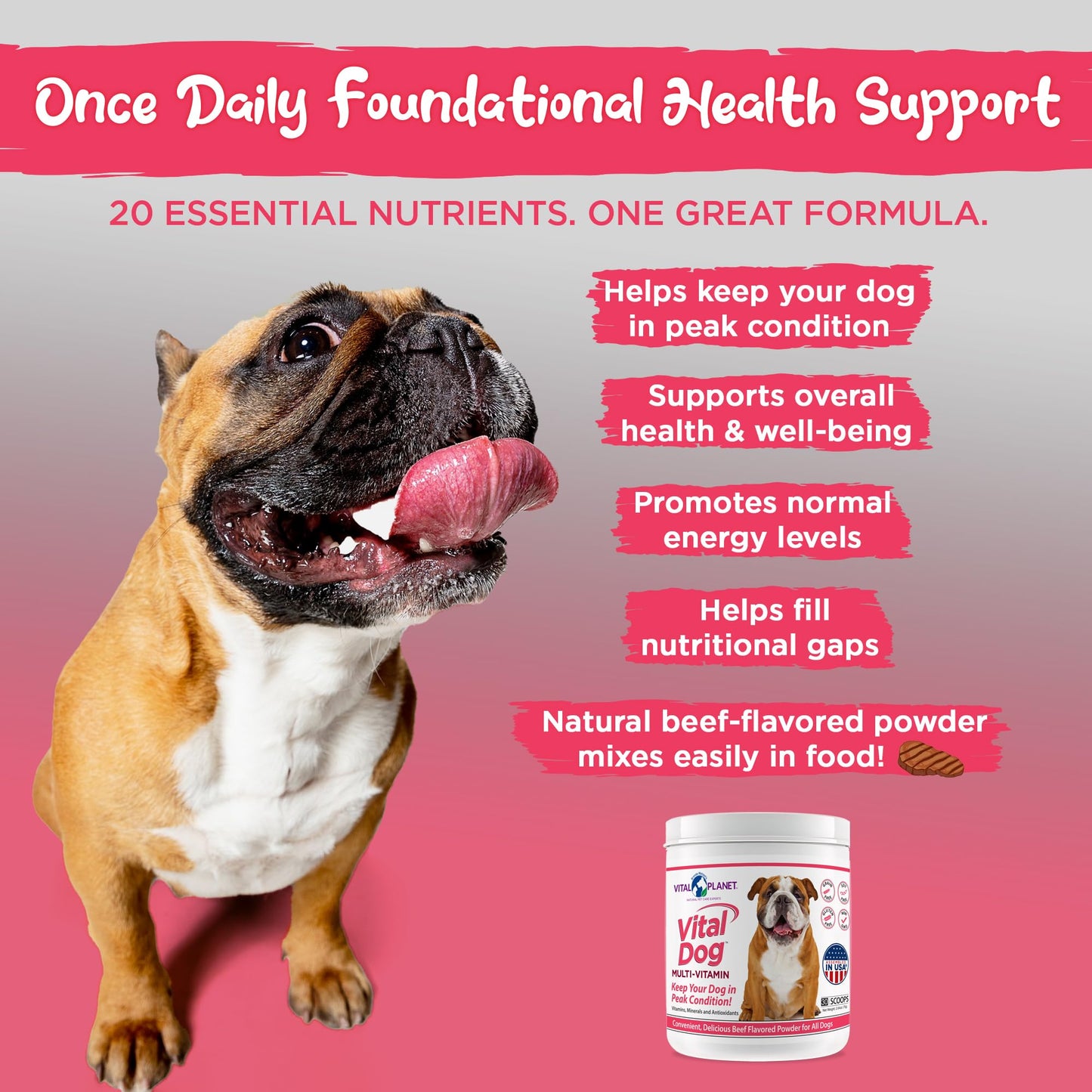 Vital Dog Multivitamin - Powder, 2.64oz