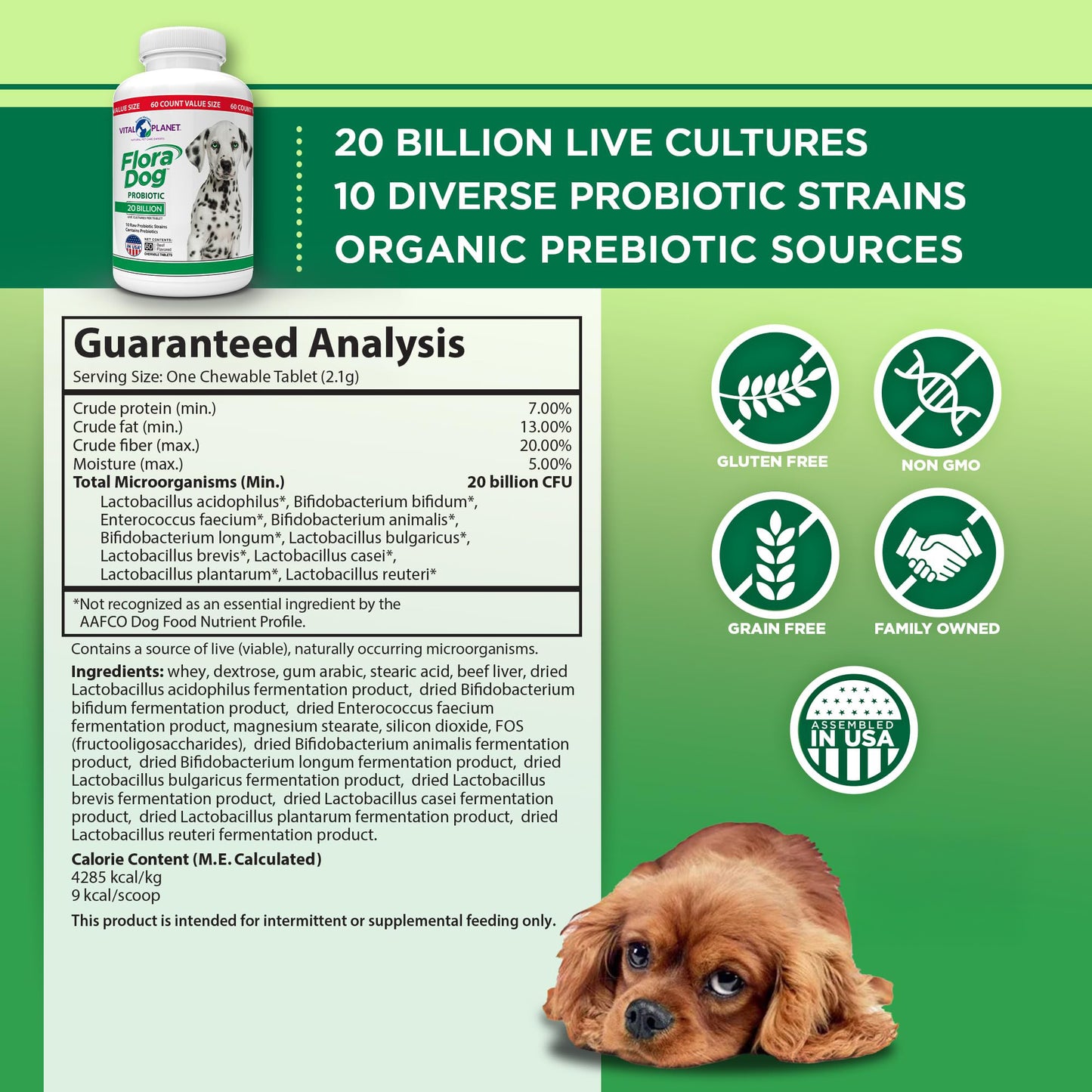 Probiótico de alta potencia para perros Flora - Masticables 60 unidades