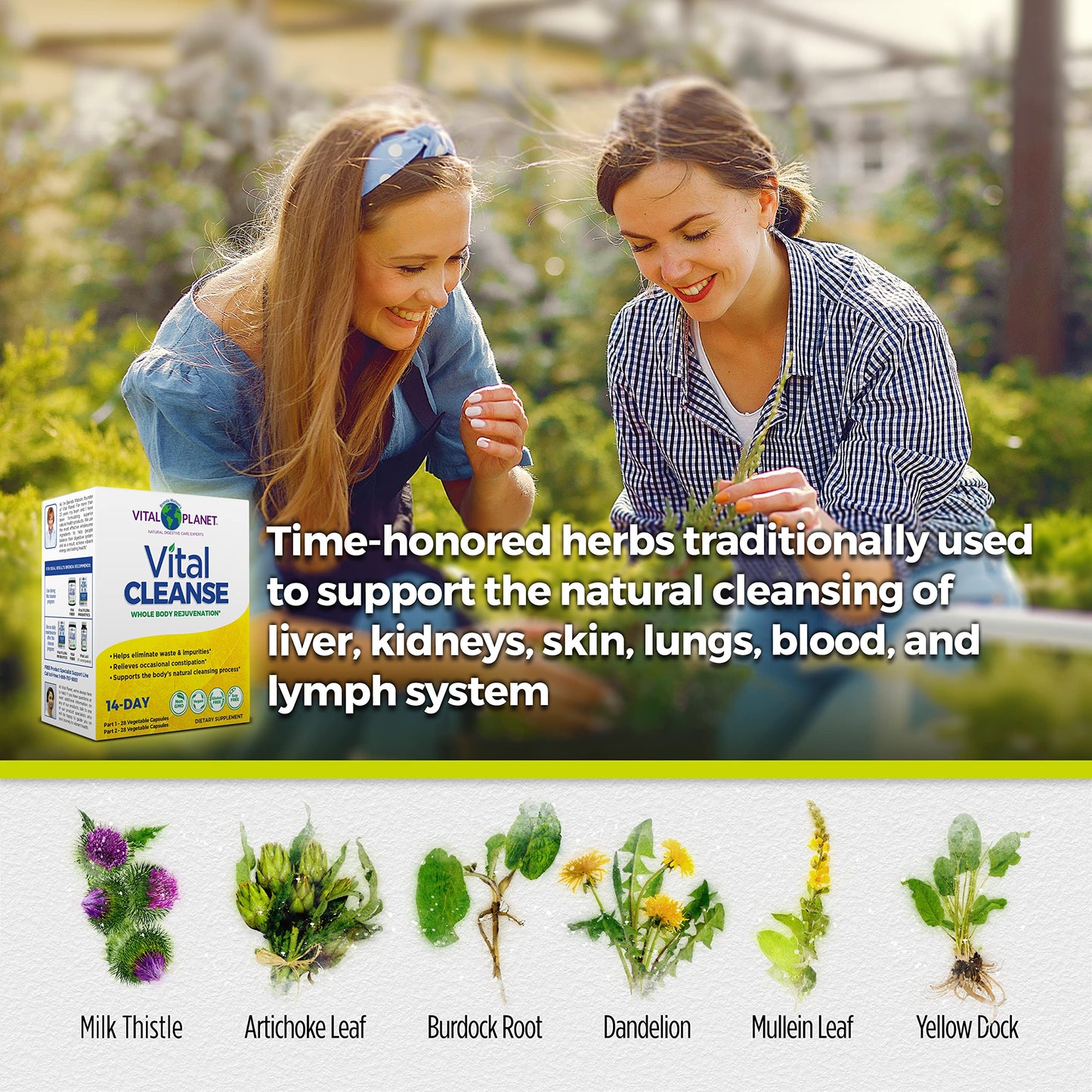 Vital Cleanse - Whole Body Rejuvenation Program
