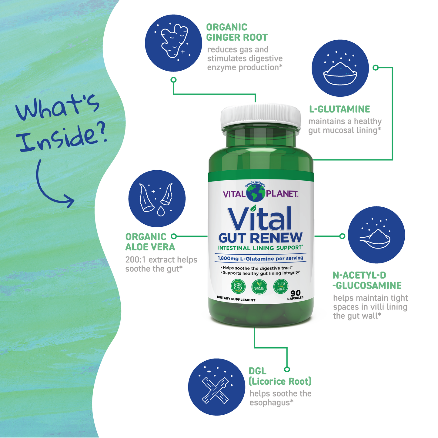 Vital Planet Vital Gut Renew supplement bottle with ingredients listed on a green and white background