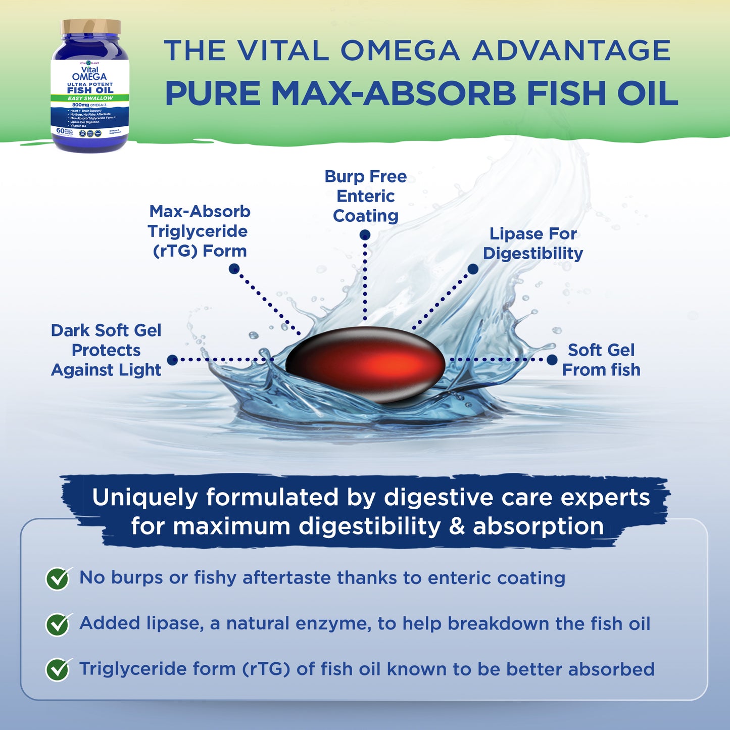 Vital Omega Easy Swallow - Softgels, 60ct