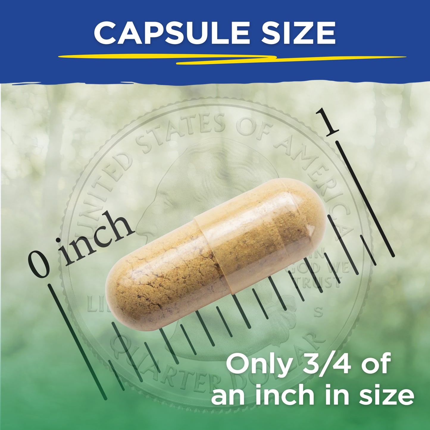 Capsule on a scale with text indicating size