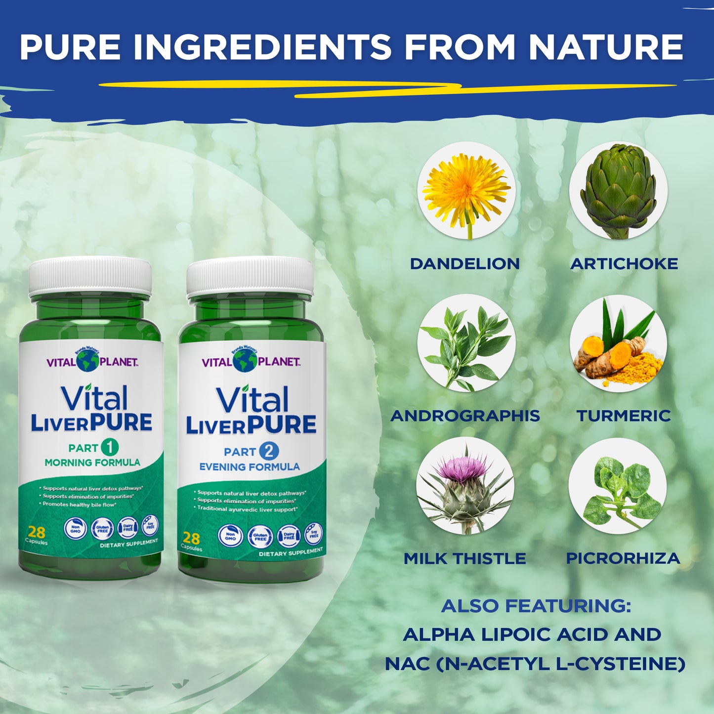 Vital Planet LiverPure supplement bottles with natural ingredient icons and names on a green background
