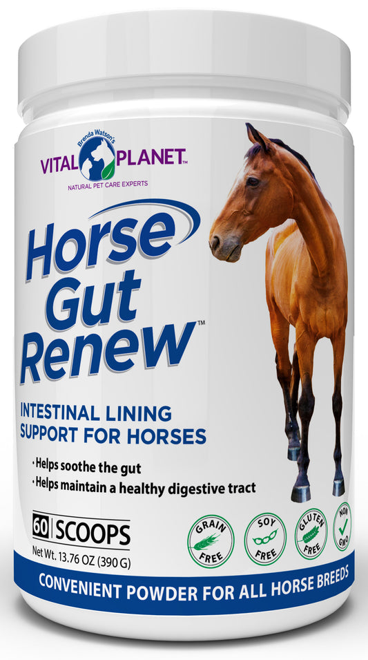 Renovador intestinal para caballos - Polvo, 13.76 oz