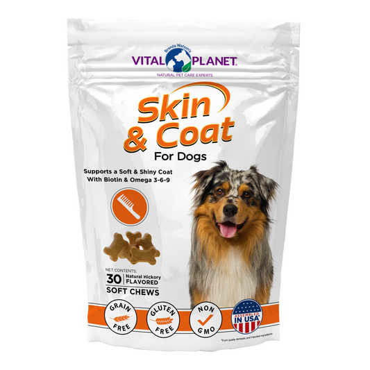 Skin & Coat - Soft Chews, 30ct