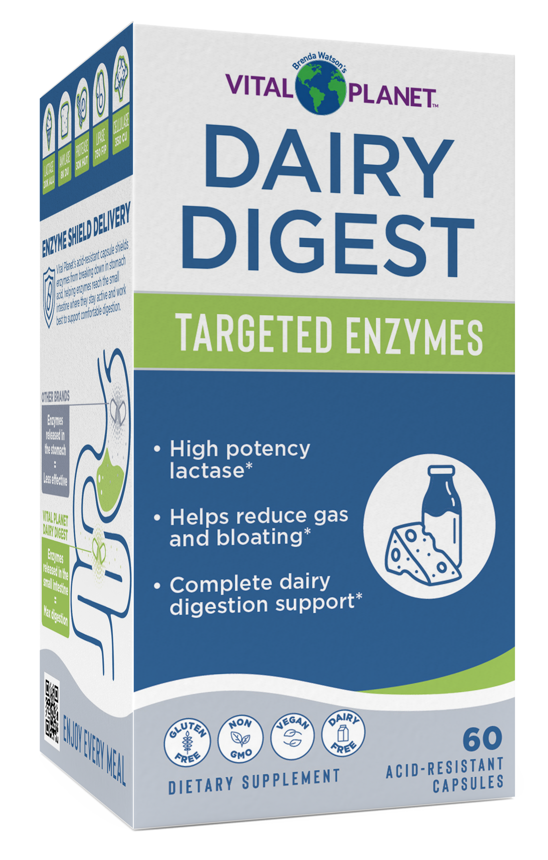 Dairy Digest - High-Potency Lactase Enzyme (20,000 ALU) – Vital