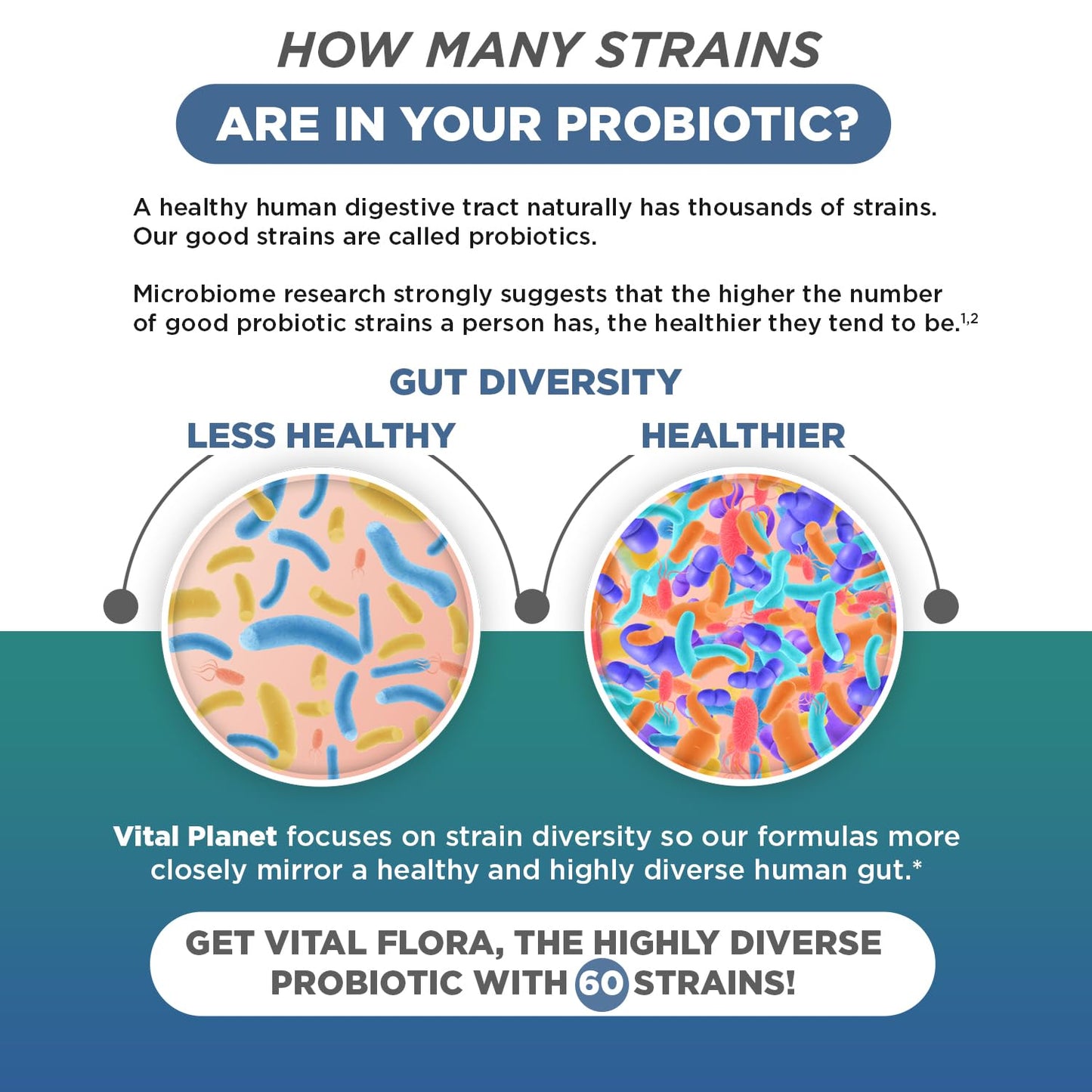 Vital Flora Immune Biome Probiotic - Refrigerated