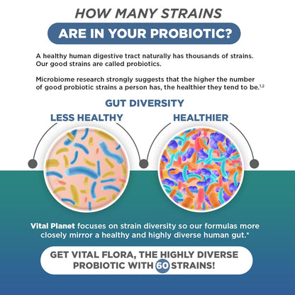 Vital Flora Immune Biome Probiotic - Refrigerated