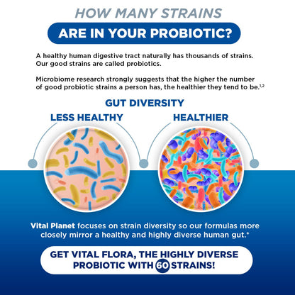 Better Together: Vital Flora + Vital Gut Renew