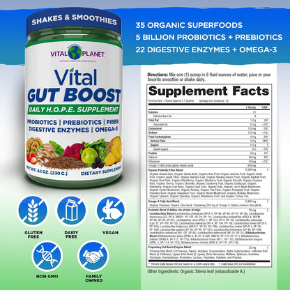Vital Gut Boost- Brenda Watson’s H.O.P.E. Formula, 8.1oz