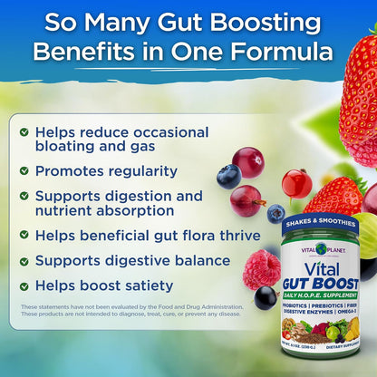 Vital Gut Boost- Brenda Watson’s H.O.P.E. Formula, 8.1oz
