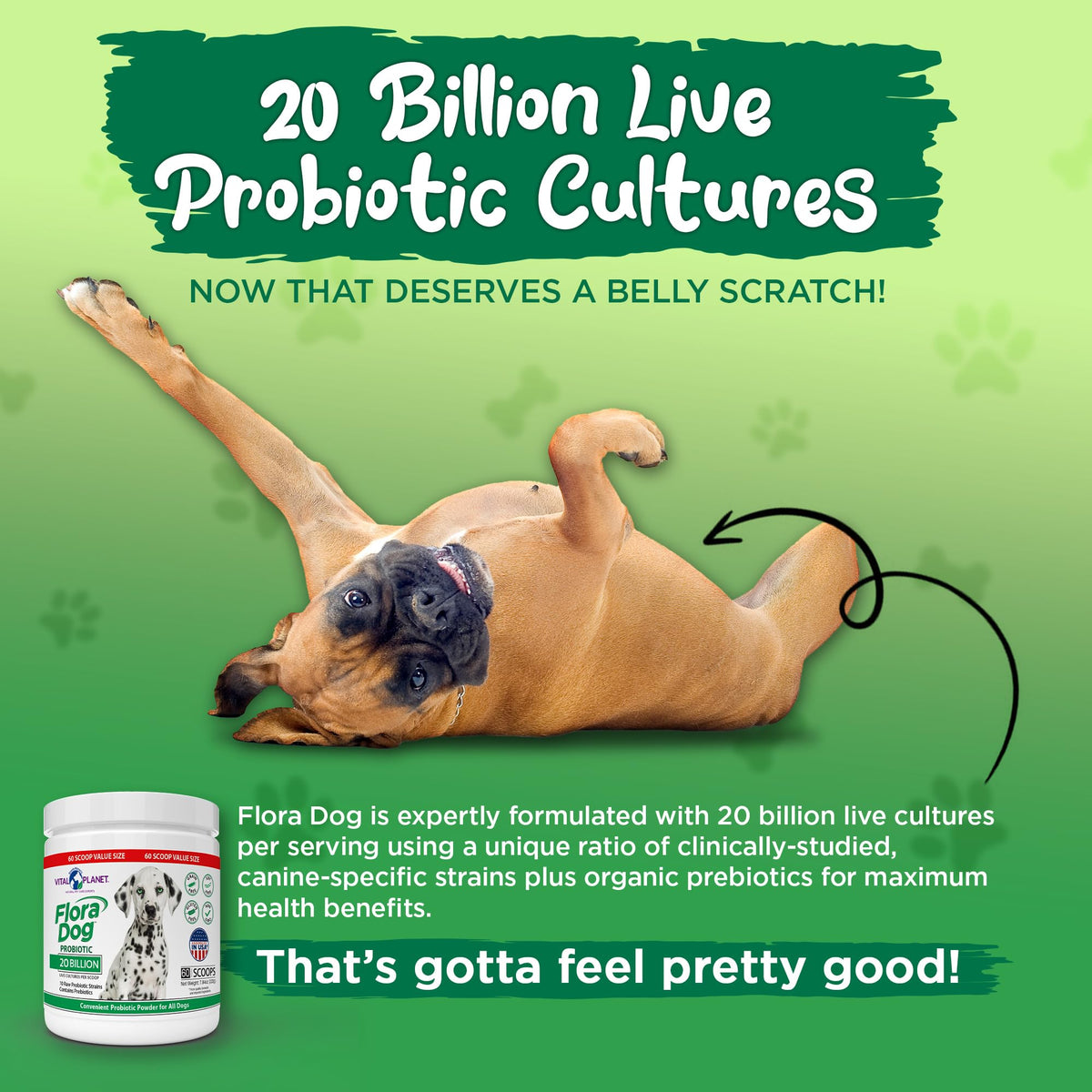 Flora Dog Probiotic Powder 60 Servings - Vital Planet – Vital Planet Shop