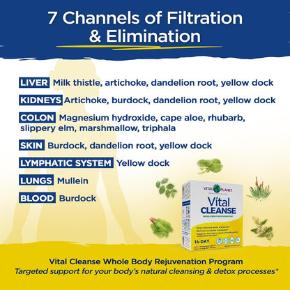 Vital Cleanse - Programa de rejuvenecimiento corporal completo