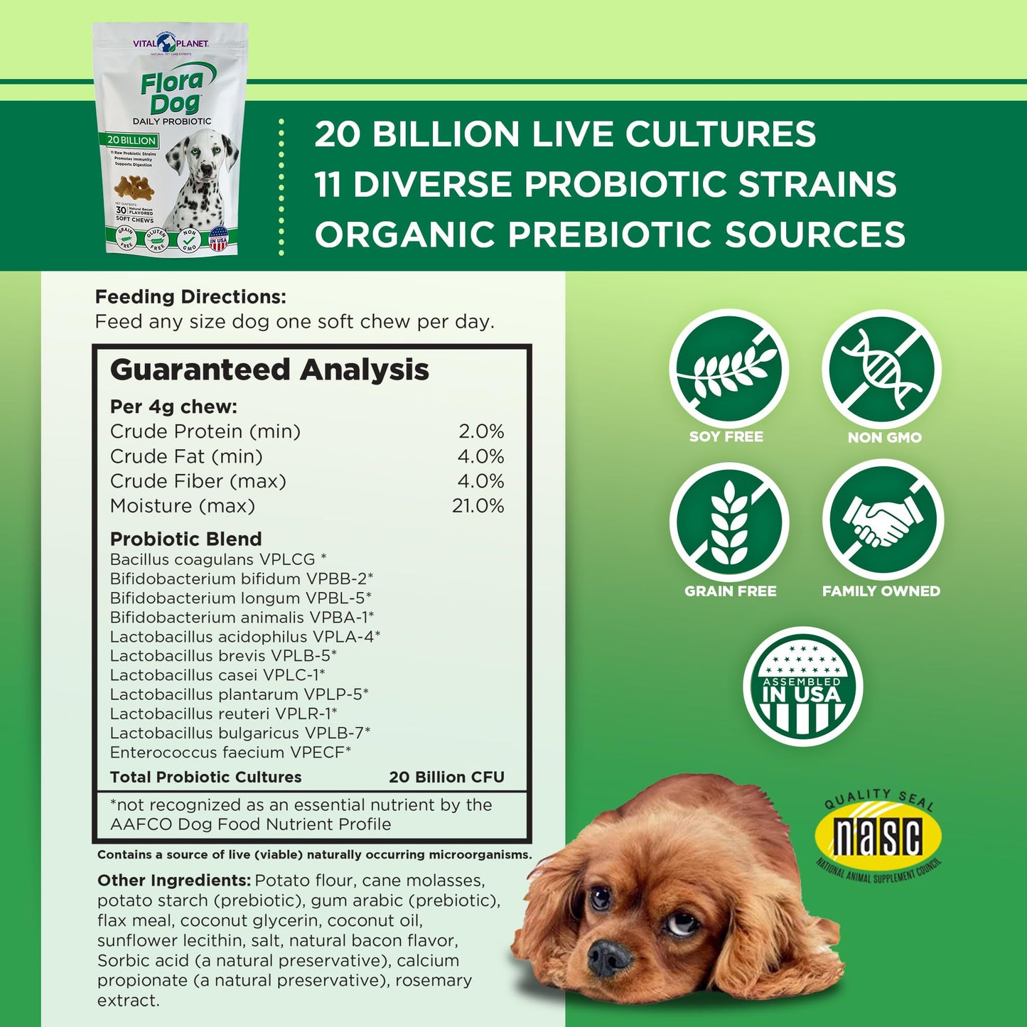 Flora Dog High Potency Probiotic - Chews, 30ct