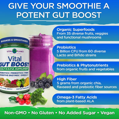 Vital Gut Boost- Brenda Watson’s H.O.P.E. Formula, 8.1oz