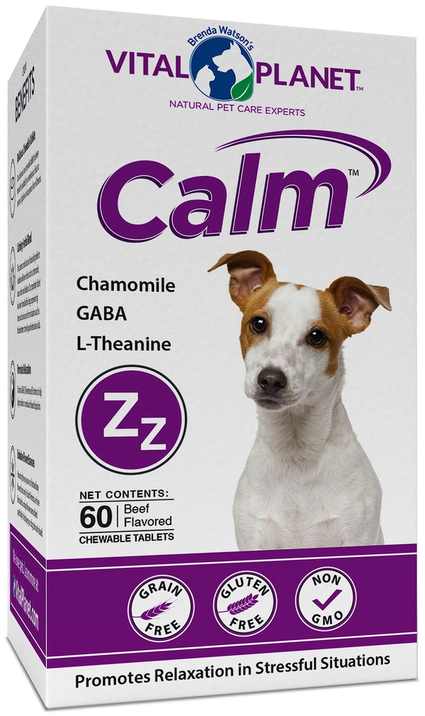 Calm Anxiety Support for Dogs