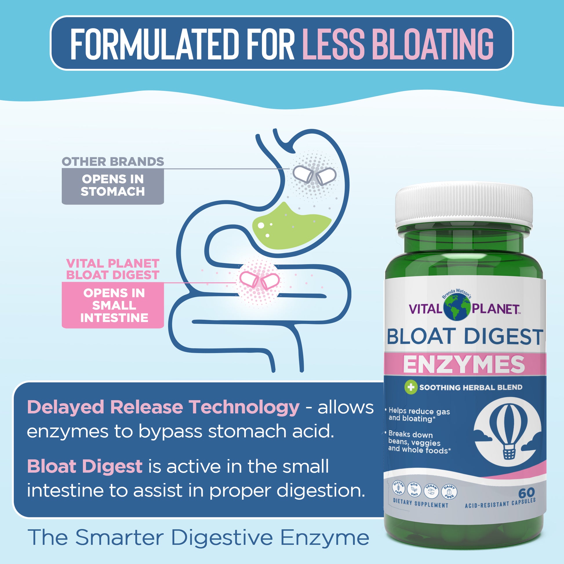 Vital Planet Bloat Digest Enzymes bottle with digestive system illustration on a blue background