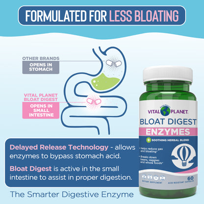 Vital Planet Bloat Digest Enzymes bottle with digestive system illustration on a blue background