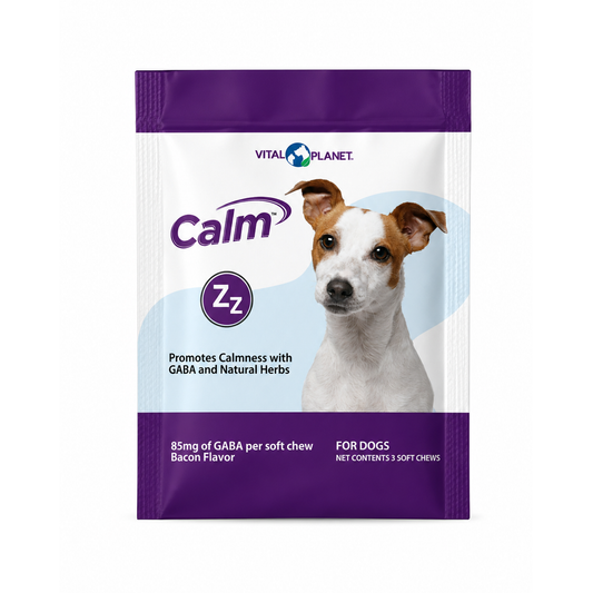 🎁 Calm - Anxiety Support Soft Chews (Sample) (100% off)