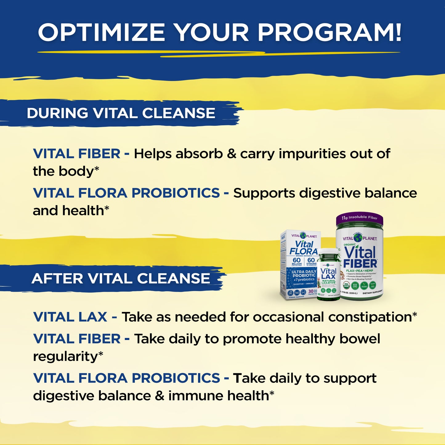 Vital Cleanse - Whole Body Rejuvenation Program