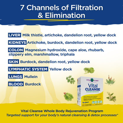 Vital Cleanse - Whole Body Rejuvenation Program