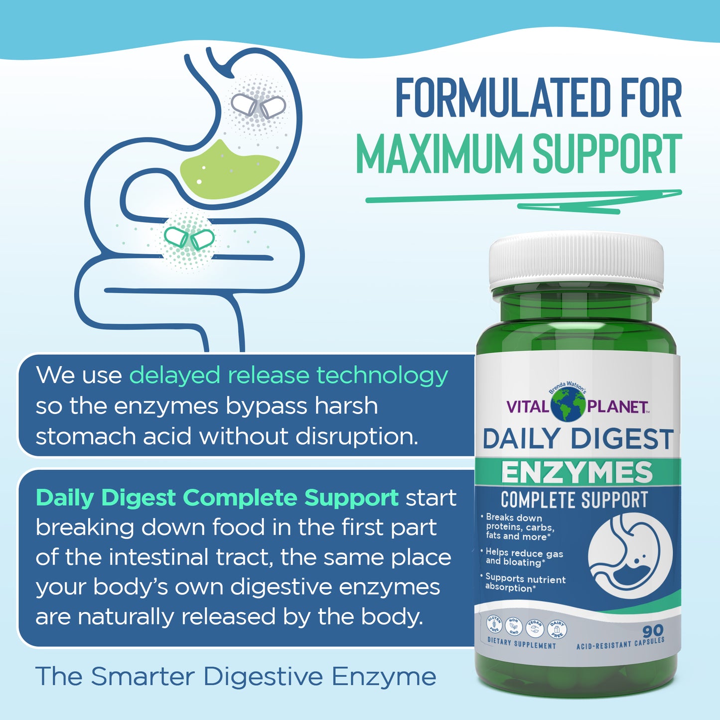 Vital Planet Daily Digest Enzymes supplement bottle with text about digestive support on a blue background