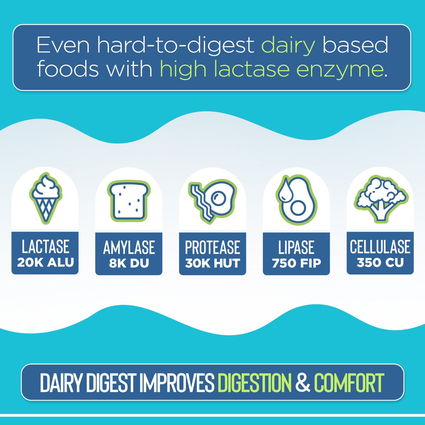 Product label with lactase enzyme activity levels and benefits on a blue background