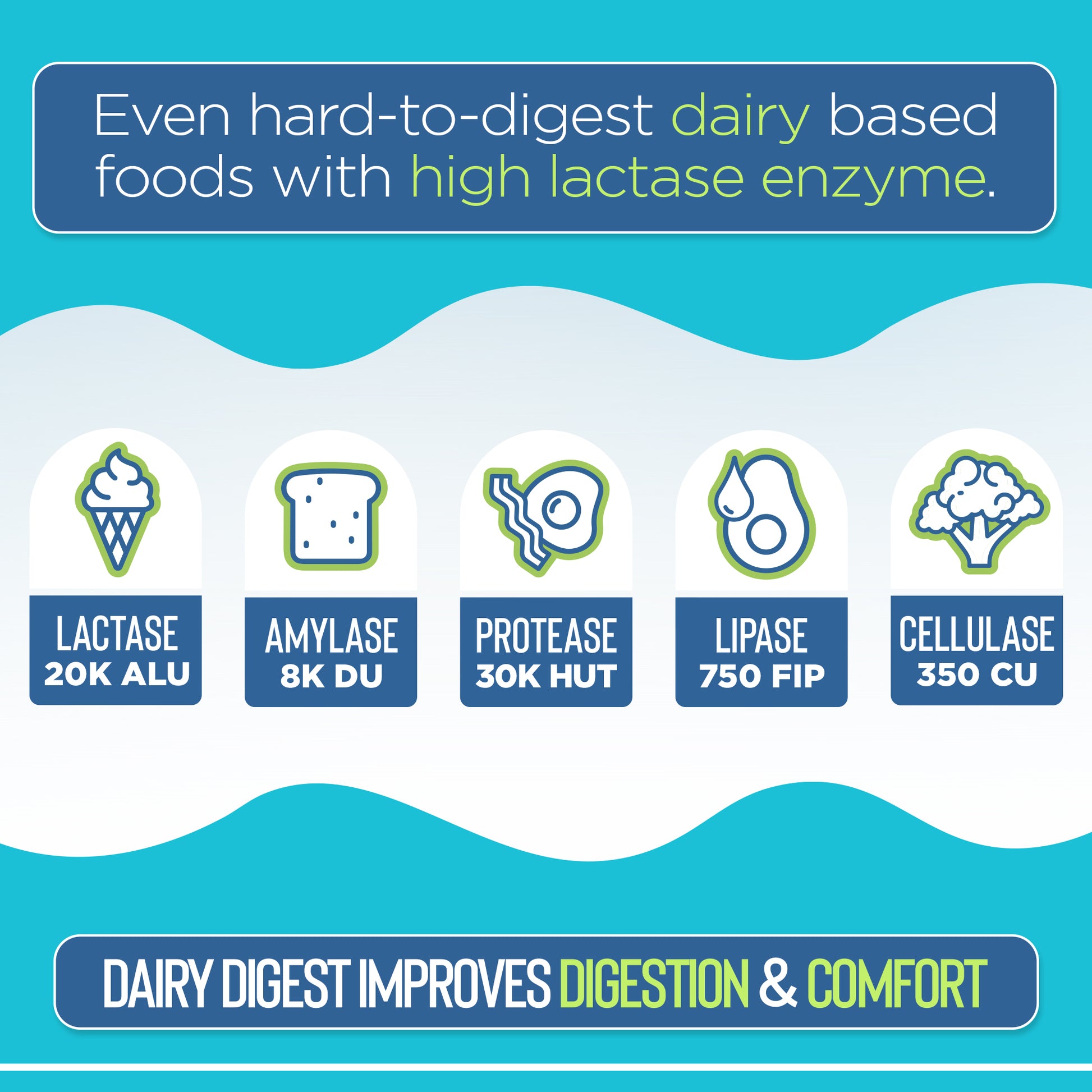 Product label with lactase enzyme activity levels and benefits on a blue background
