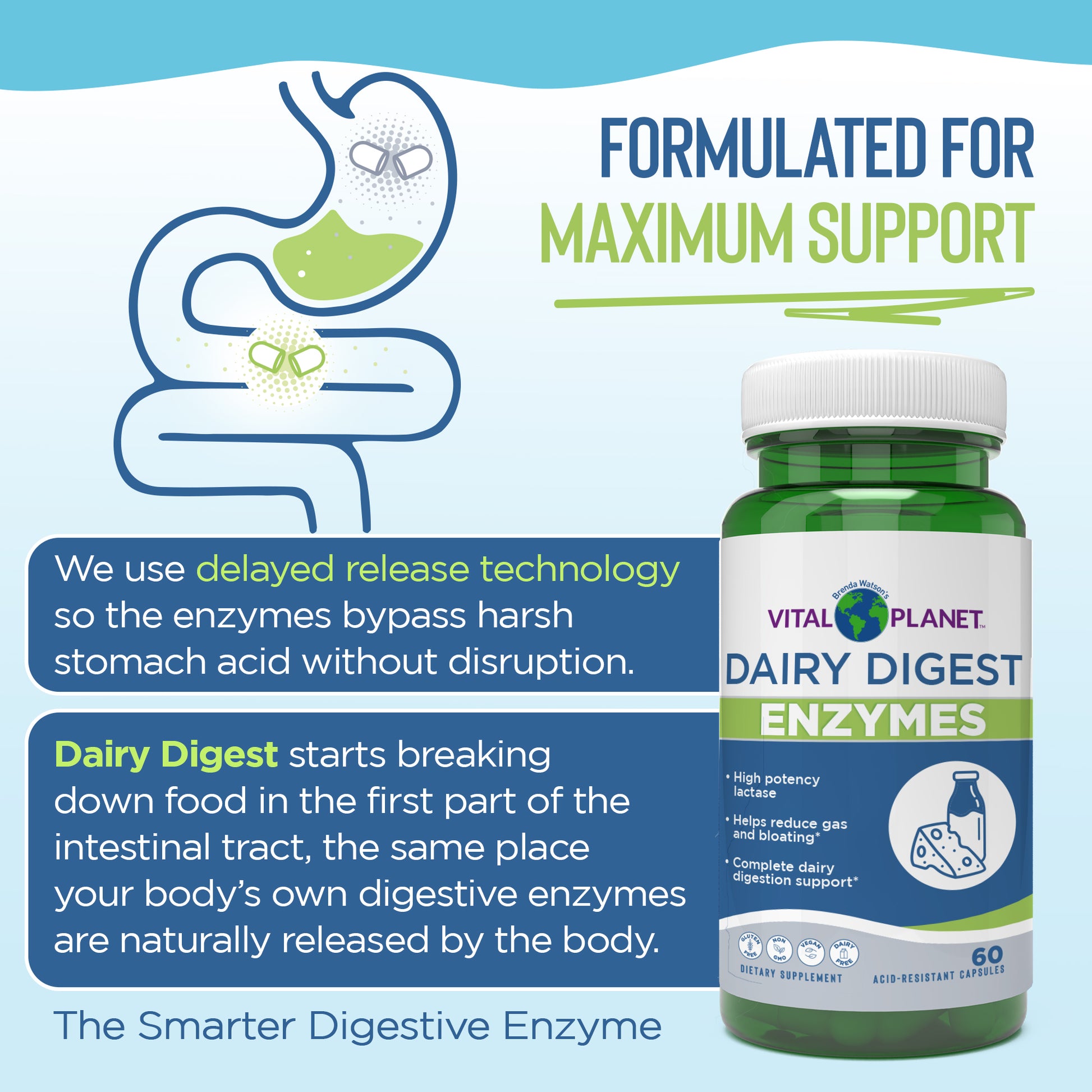 Vital Planet Dairy Digest Enzymes supplement bottle with text about delayed release technology on a blue and white background.